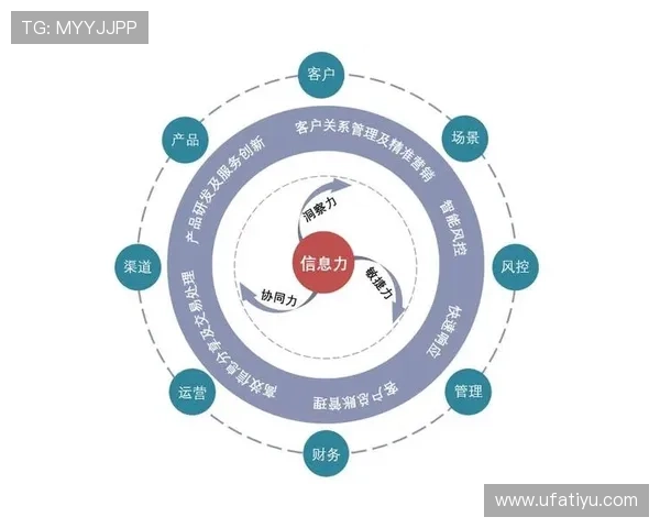 深入了解开云KY数字站在品牌数字化推广中的应用优势与实战技巧